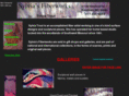 sylviasfiberworks.com