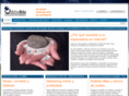wsidrivebiz.com