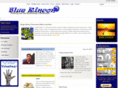 bluerincon.com