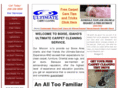boisecarpetcleaner.com