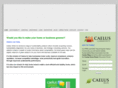 caelusconsulting.com