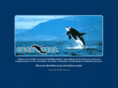 orca-cool.com