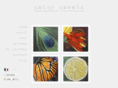 cathysavels.com