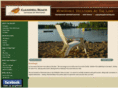 clamshellbeachresort.com
