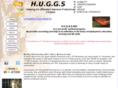 huggstn.org