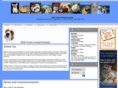 belleforestanimalhospital.com
