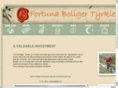 fortuna-estate.com