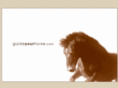 guideyourhorse.com