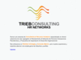 triebconsulting.net