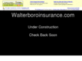 walterboroinsurance.com