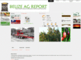 belizeagreport.com