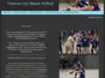 traversecitywaves.com