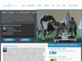 crossfitvitality.com