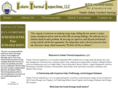 feketethermalinspections.com