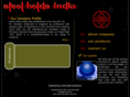 steelholdsindia.com