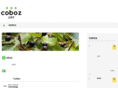 coboz.net
