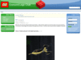 concordlegoclub.com