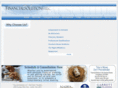 financialsols.com