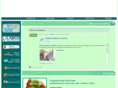 madeiramaissaude.com