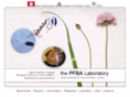 pfba-lab-tun.org