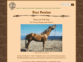 ponypouches.com
