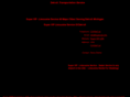 detroittransportationservice.com