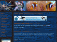 diversconnection.de