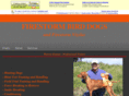 firestormbirddogs.com