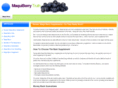 maquiberrytruth.com