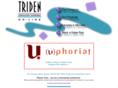 triden.com