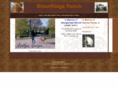 bisonridgeranch.com