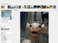 canimg.com