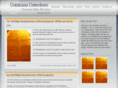 database-detectives.com