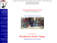divasharonsdivinevintage.com