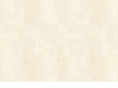 thesquirrelhunter.com