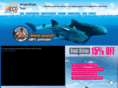 tourwhalesharkcancun.com