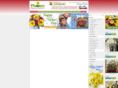 holidayflowers.org