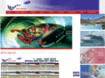 magictours.com