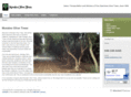 moralestrees.com