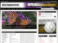 newenglandaster.com