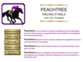 peachtreeracing.com