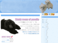 t-poodle.com