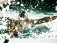 trisensesport.com