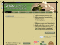 whiteorchidinn.com