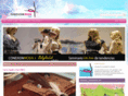 conexionmoda.com