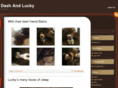 luckyanddash.com