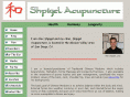 shpigelacupuncture.com