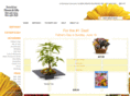 sunshineflowersandgifts.com
