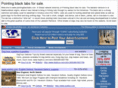 pointingblacklabs.com