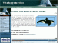 whaleprotection.org